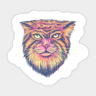 Palls Cat Sticker